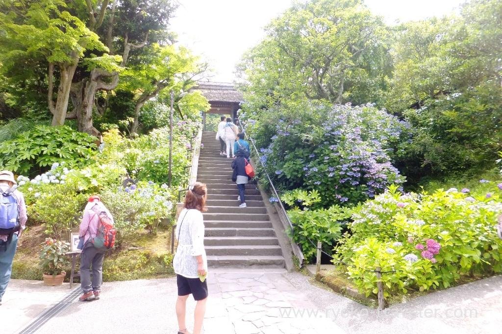 🏛️ 인연을 끊는 절 만토쿠지 자료관(엔키리데라 만토쿠지 시료칸) 이미지 6